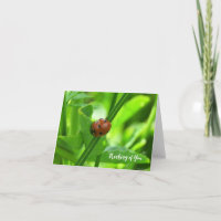 Ladybug - Thinking of You Card