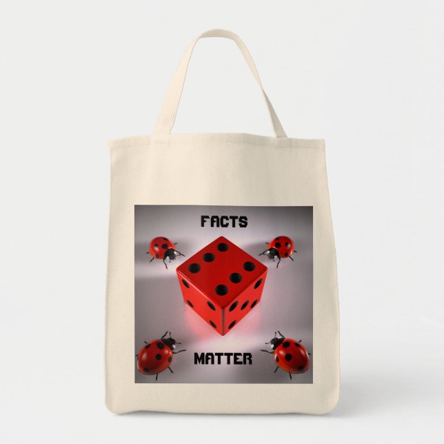 Ladybug  tote bag (Front)