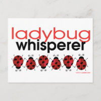 Ladybug Whisperer