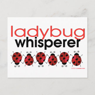 Ladybug Whisperer Postcard