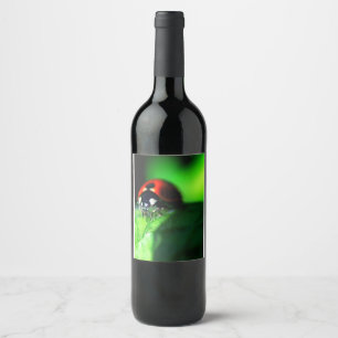 Ladybug Wine Label