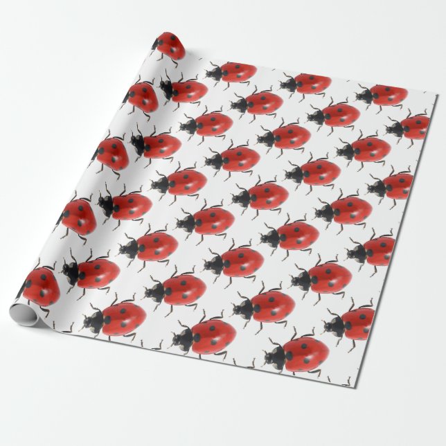 Ladybug Wrapping Paper (Unrolled)