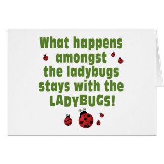 Ladybugs