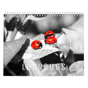 Ladybugs [1] Wall Calendar