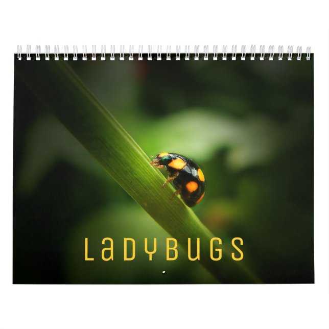 Ladybugs [2] Wall Calendar (Cover)