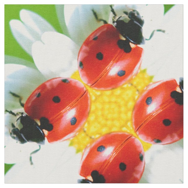 Ladybugs Art 1 Fabric (Close Up)