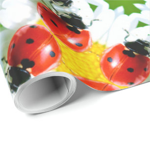 Ladybugs Art 1 Wrapping Paper