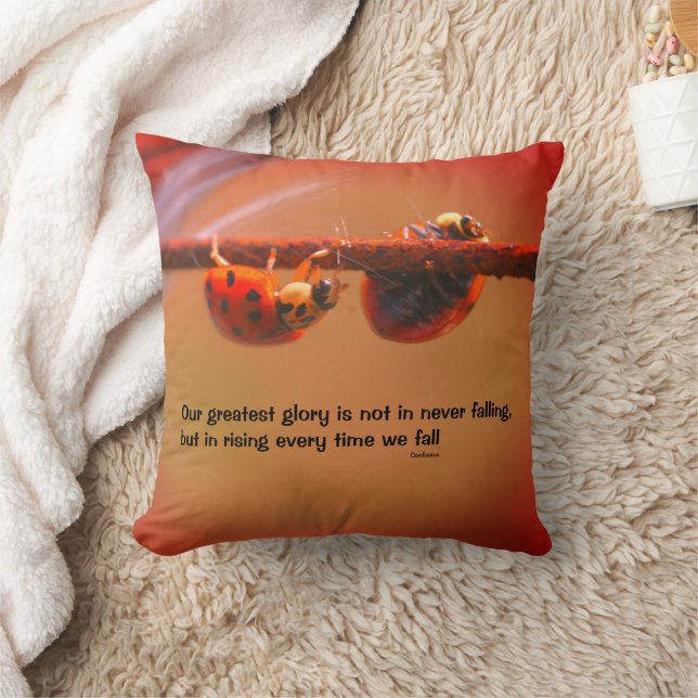 Ladybugs Attitude Inspirational Confucius Quote   Cushion (Blanket)