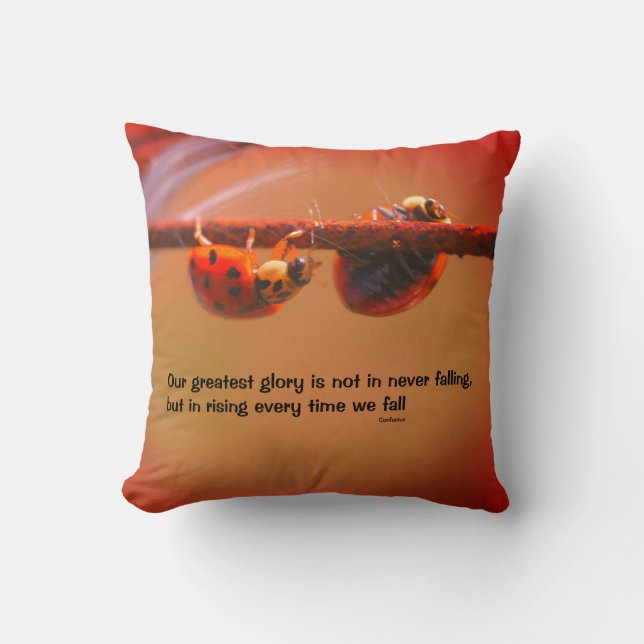 Ladybugs Attitude Inspirational Confucius Quote   Cushion (Front)