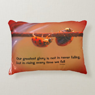 Ladybugs Attitude Inspirational Confucius Quote  Decorative Cushion