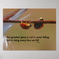 Ladybugs Attitude Inspirational Confucius Quote