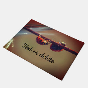 Ladybugs Balancing Close Up Personalised Doormat