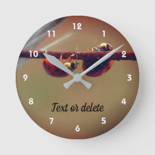Ladybugs Balancing Close Up Personalised Round Clock