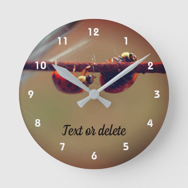 Ladybugs Balancing Close Up Personalized Round Clock (Front)