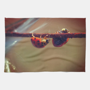 Ladybugs Balancing Close Up  Tea Towel