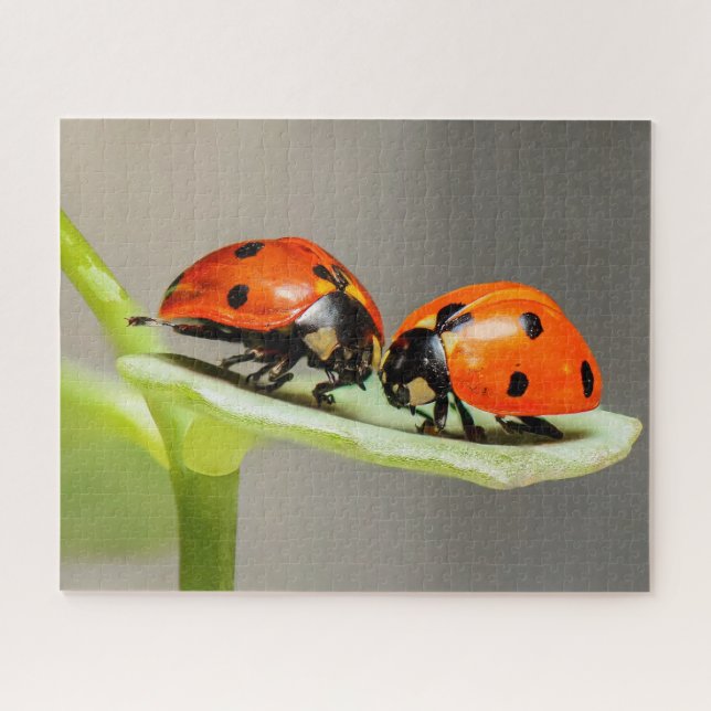 Ladybugs Beetles Jigsaw Puzzle (Horizontal)