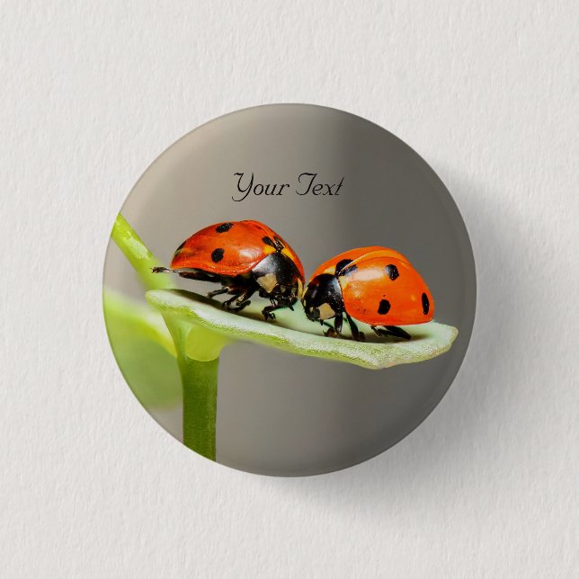 Ladybugs Beetles Pinback Button (Front)
