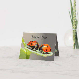 Ladybugs Beetles Thank You Card