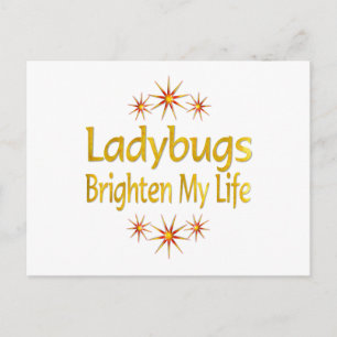 Ladybugs Brighten My Life Postcard
