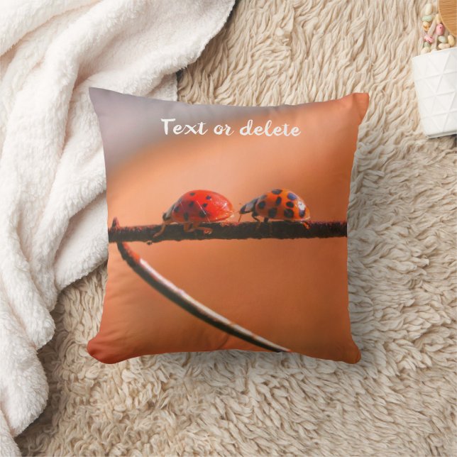 Ladybugs Follow The Leader Personalised  Cushion (Blanket)