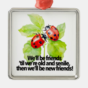 Ladybugs friendship quote funny BFF old senile Metal Ornament