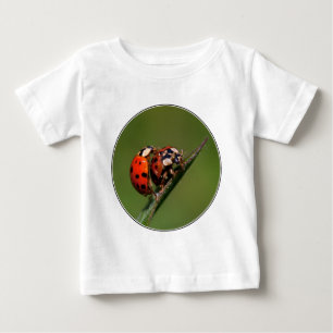 Ladybugs In Love Baby T-Shirt