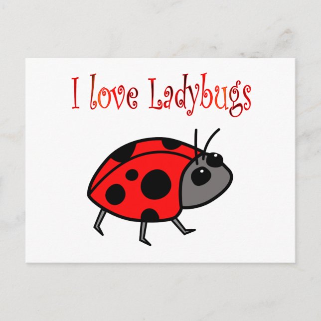 Ladybugs Postcard (Front)