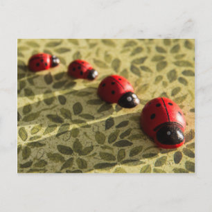 Ladybugs postcard