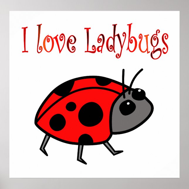 Ladybugs Poster (Front)