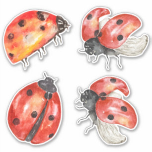 ladybugs set sticker