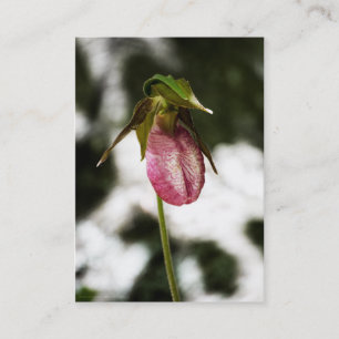 Lady's Slipper #8299 Mini Print Business Card