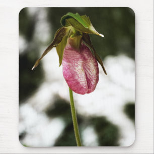 Lady's Slipper #8299 Mousepad