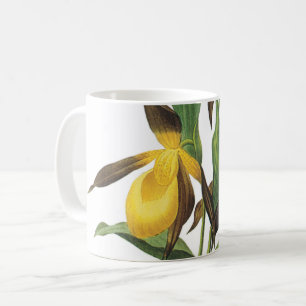 lady's slipper(Cypripedium sp.) by Redouté Coffee Mug