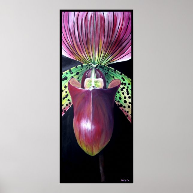 Lady's Slipper Orchid Poster (Front)