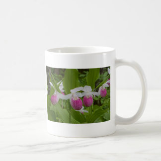 ladyslipper coffee mug