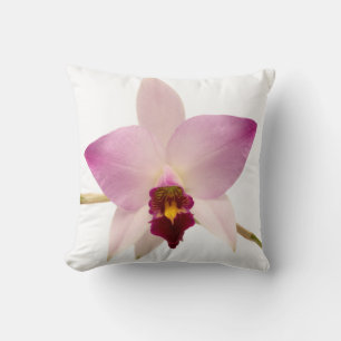 Laelia Ancep Cushion