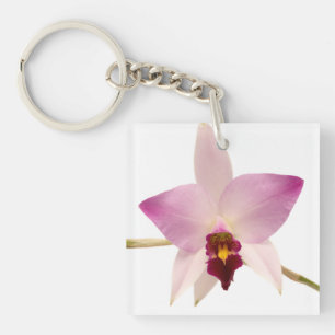Laelia Ancep Key Ring