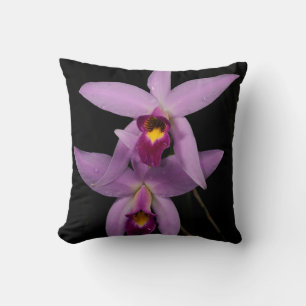 Laelia Anceps Cushion