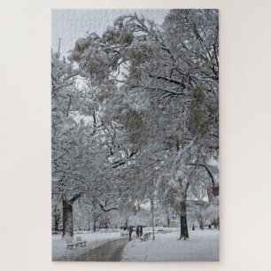 Lafayette Square, Washington, DC, winter path Jigsaw Puzzle