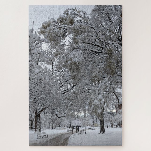 Lafayette Square, Washington, DC, winter path Jigsaw Puzzle (Vertical)