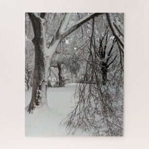 Lafayette Square, Washington, DC, winter trees Jigsaw Puzzle