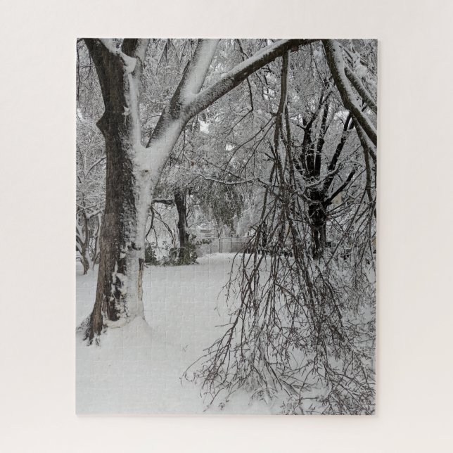 Lafayette Square, Washington, DC, winter trees Jigsaw Puzzle (Vertical)