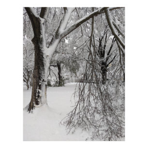 Lafayette Square, Washington, DC, winter trees Photo Print