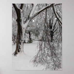 Lafayette Square, Washington, DC, winter trees Poster
