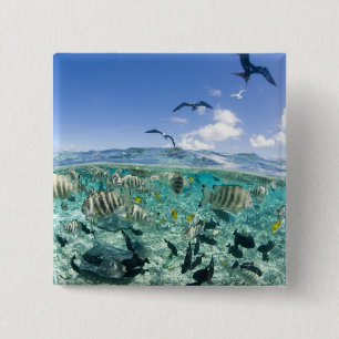 Lagoon safari trip featuring Stingrays 15 Cm Square Badge