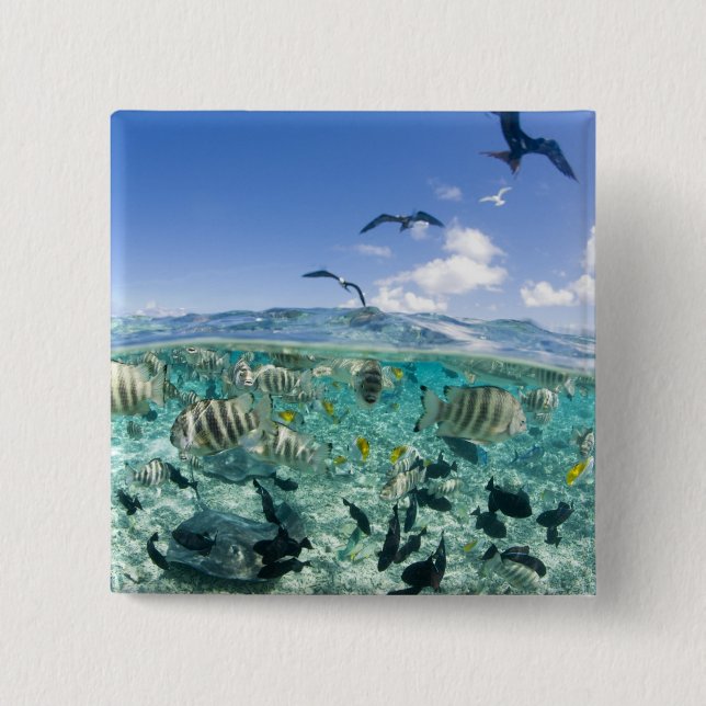 Lagoon safari trip featuring Stingrays 15 Cm Square Badge (Front)