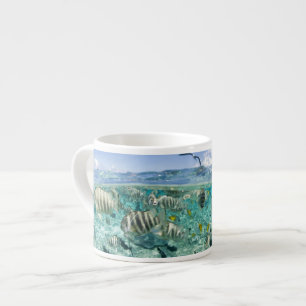 Lagoon safari trip featuring Stingrays Espresso Cup