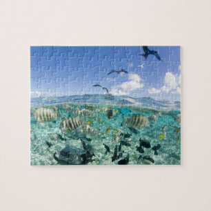 Lagoon safari trip featuring Stingrays Jigsaw Puzzle