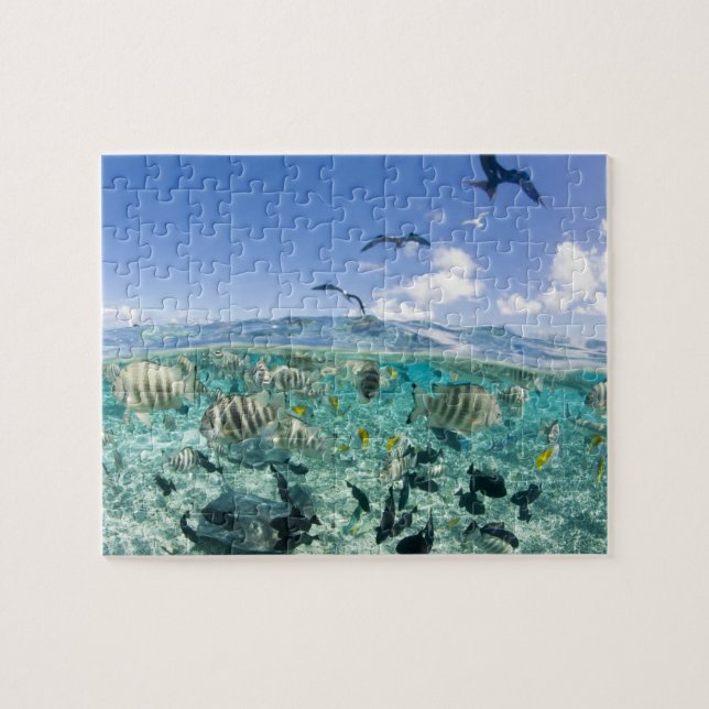 Lagoon safari trip featuring Stingrays Jigsaw Puzzle (Horizontal)