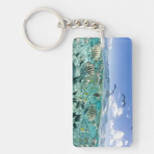 Lagoon safari trip featuring Stingrays Key Ring